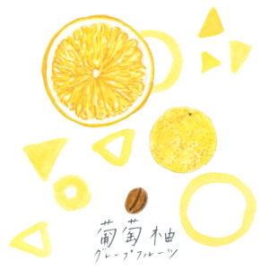 ●grapefruit_tegaki