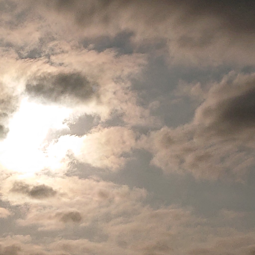 IMG_20200720_165140_517