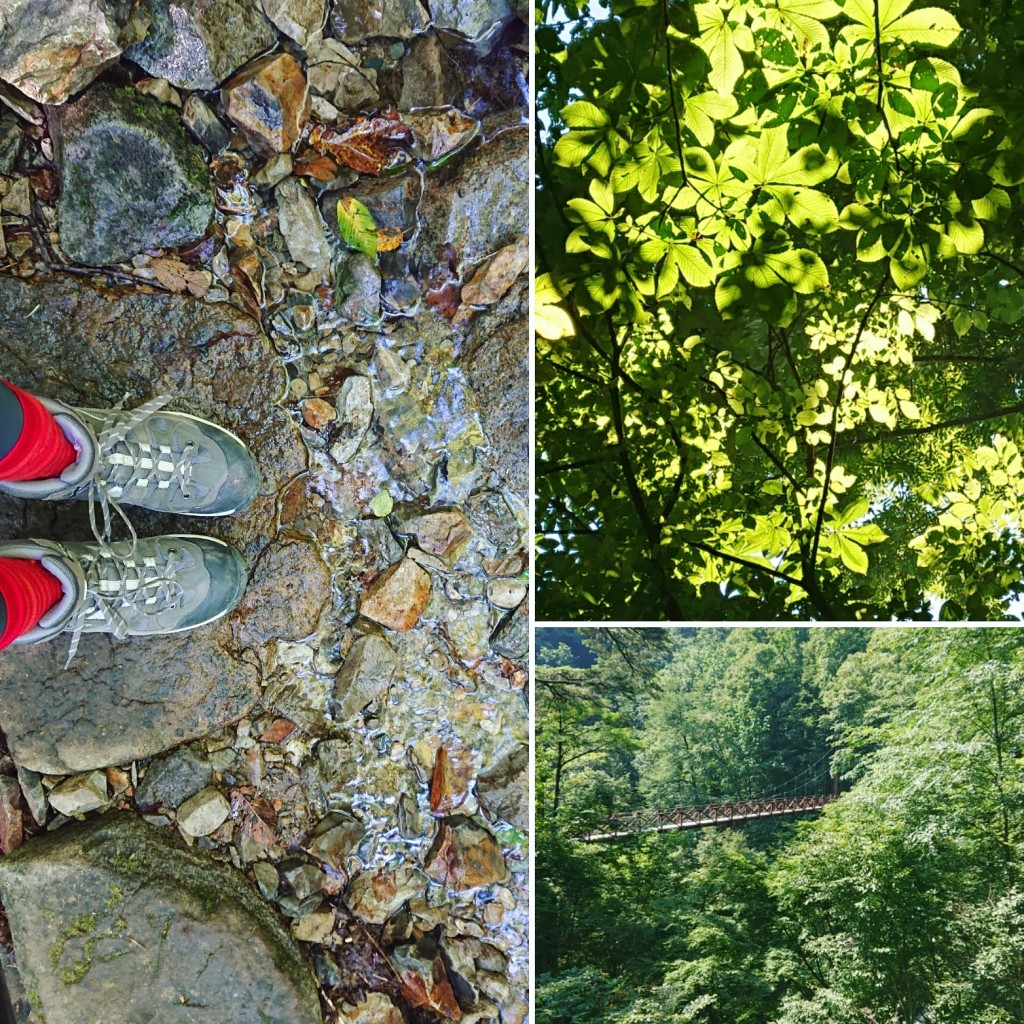 IMG_20200905_132833_363