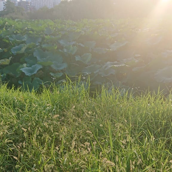 IMG_20201020_070940_549