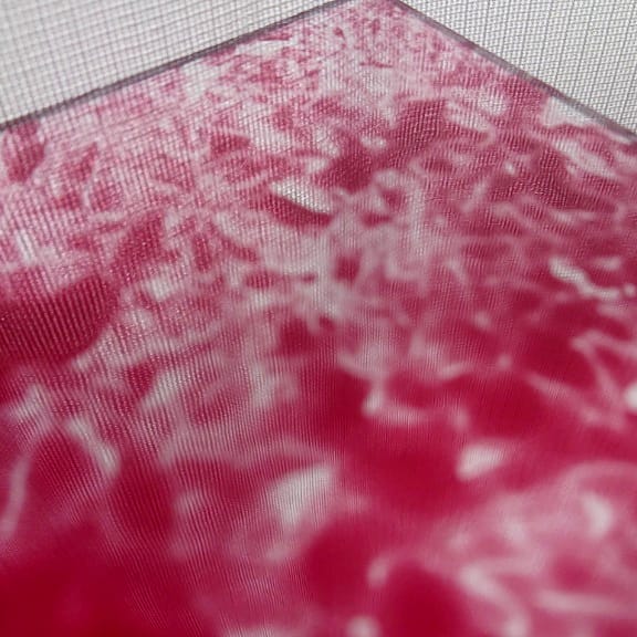 IMG_20201023_080259_908