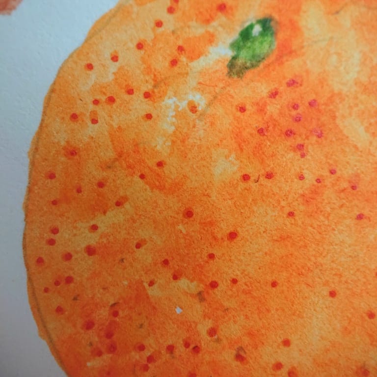 IMG_20201125_070729_905