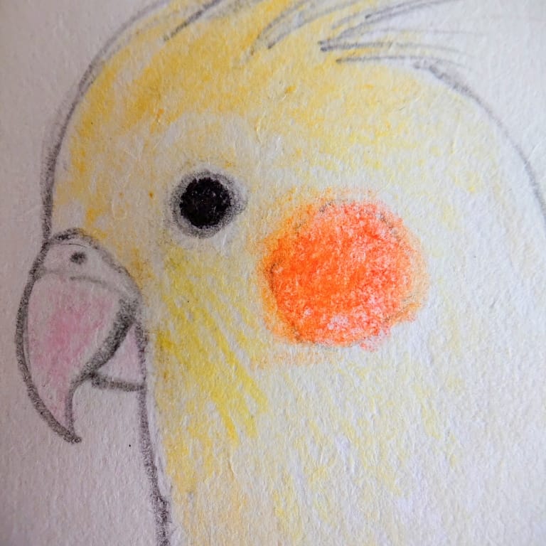 IMG_20201126_070947_440