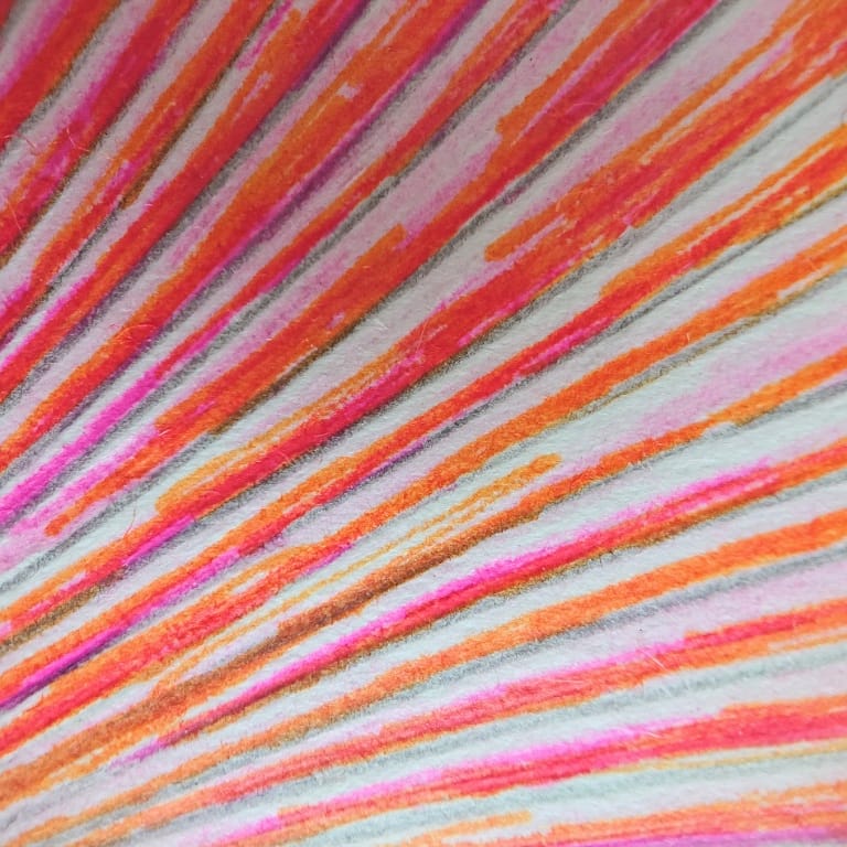 IMG_20201127_072528_066