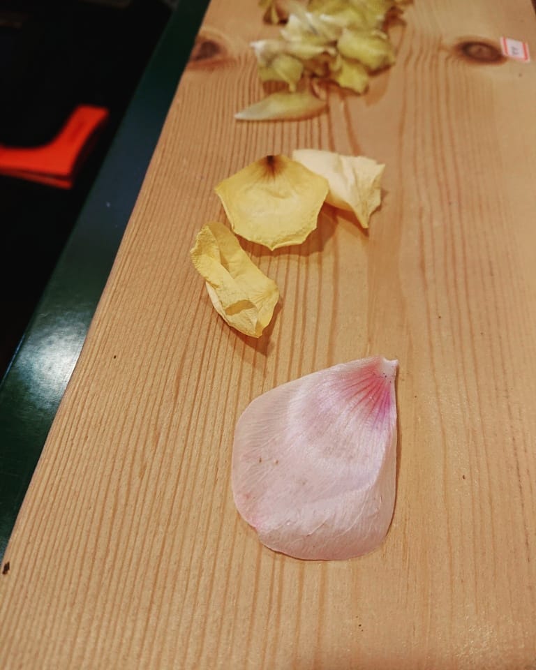 IMG_20201210_070604_817