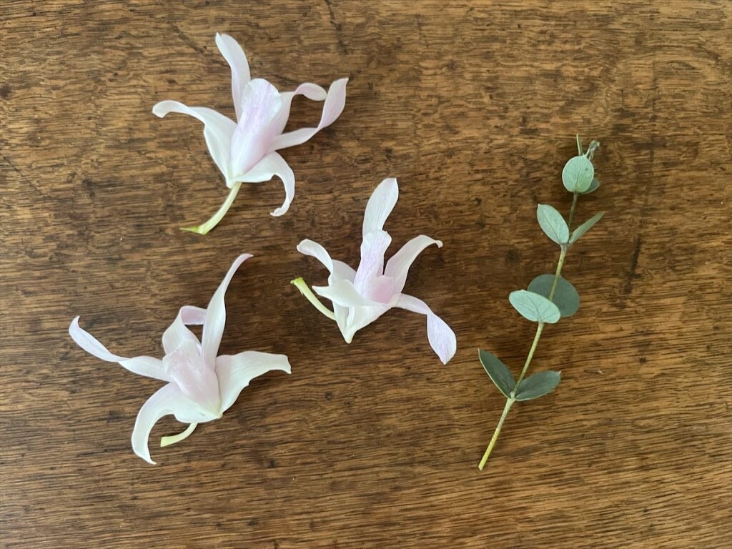 BE65575C-ED4E-4694-BA96-3D74A1EA45DF